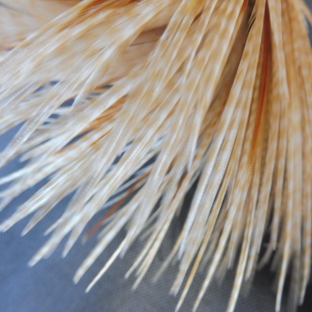 コックハックルケープ #Silver Barret Medium Ginger