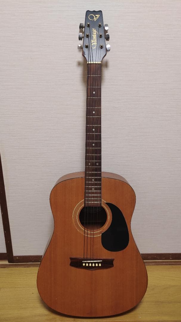 ギター Vintage VIS-1