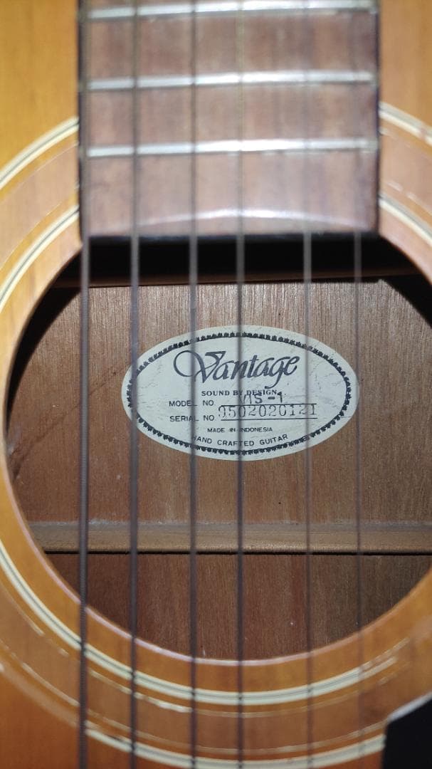 ギター Vintage VIS-1