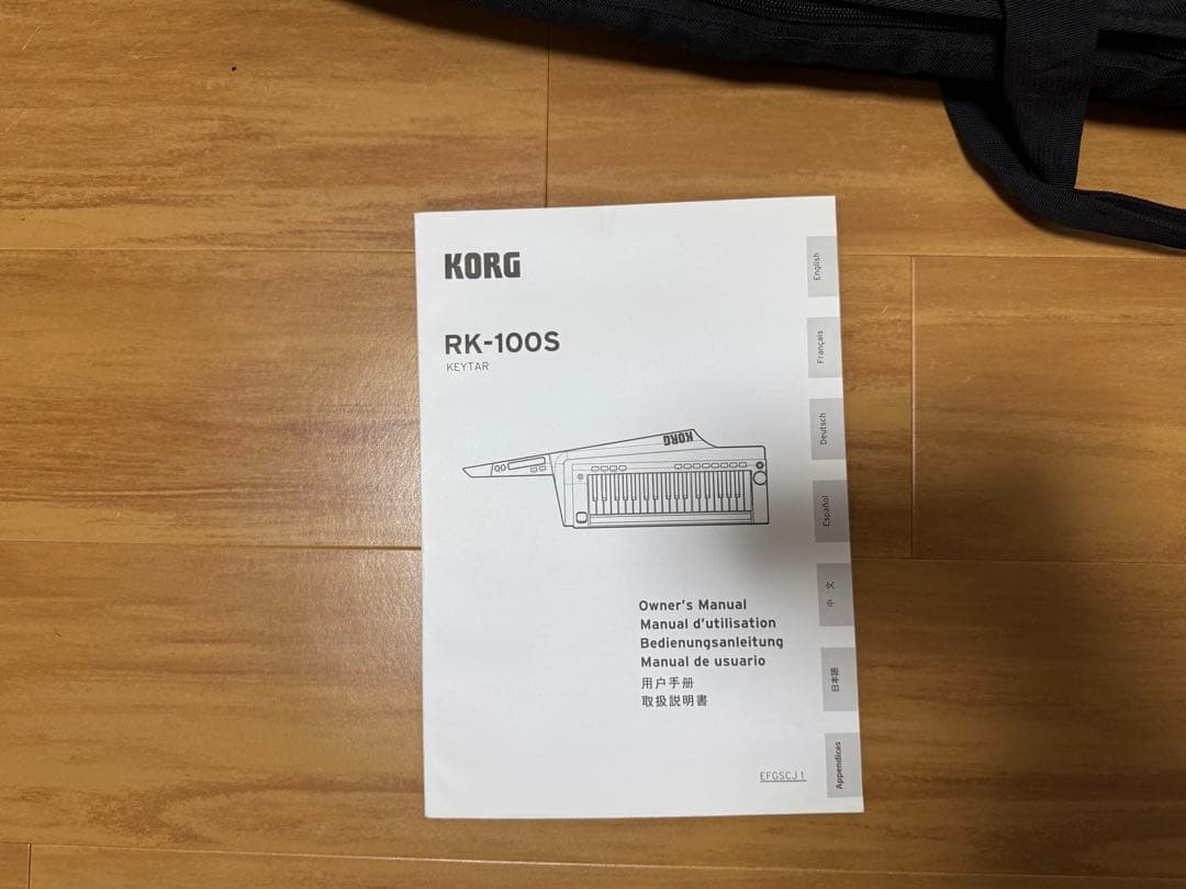 と*ん様 KORG RK-100S 専用ケース付き