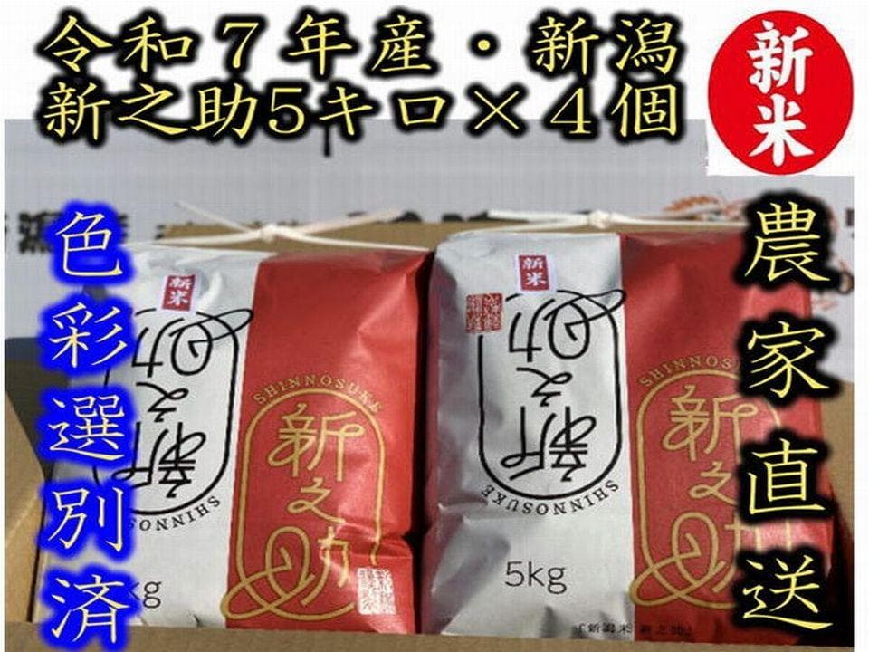 大粒な令和７年産 新潟 新之助 白米5kg × ４個 ★農家直送★色彩選別済