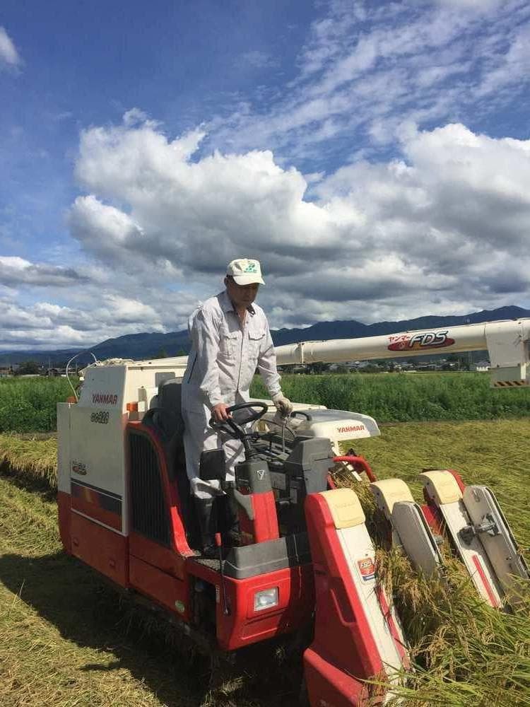 大粒な令和７年産 新潟 新之助 白米5kg × ４個 ★農家直送★色彩選別済