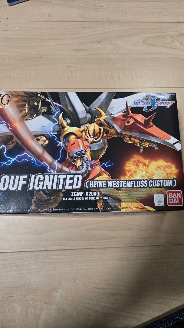 1/144 HG グフイグナイテッド ハイネ専用機