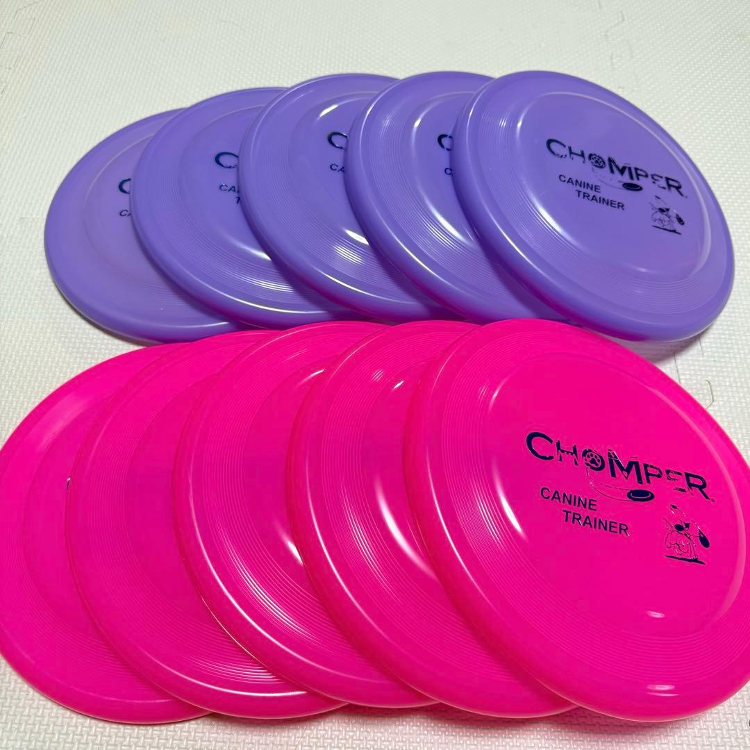 【新品・未使用】犬用 フリスビー ディスク ミスプリント 夏用 10枚セット