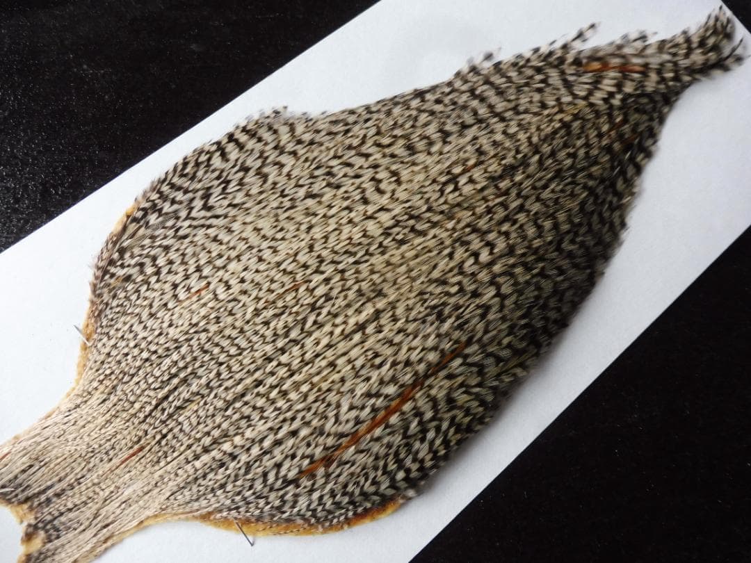 メッツ METZ コックハックルケープ グリズリーバリアント