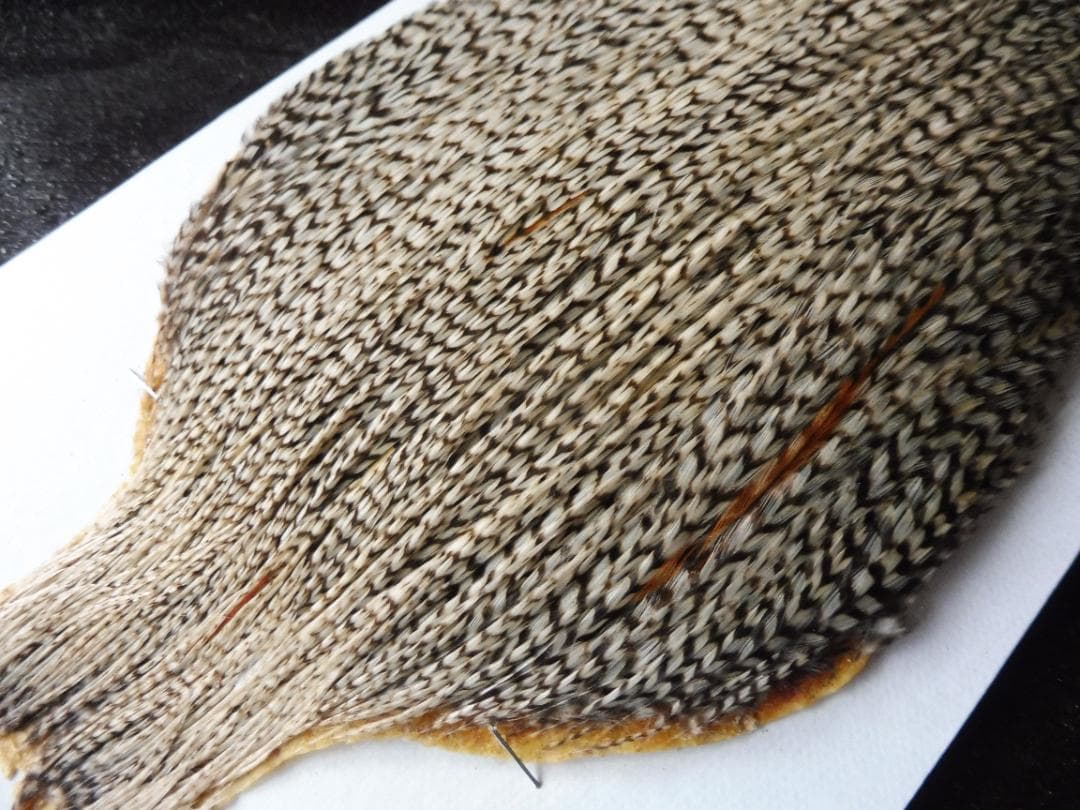 メッツ METZ コックハックルケープ グリズリーバリアント