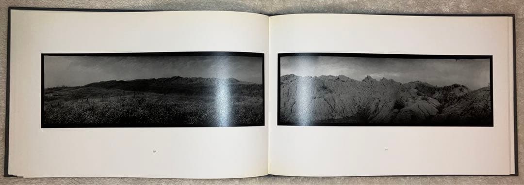 芸術写真 SMUTNA KRAJINA SAD LANDSCAPE Josef Sudek