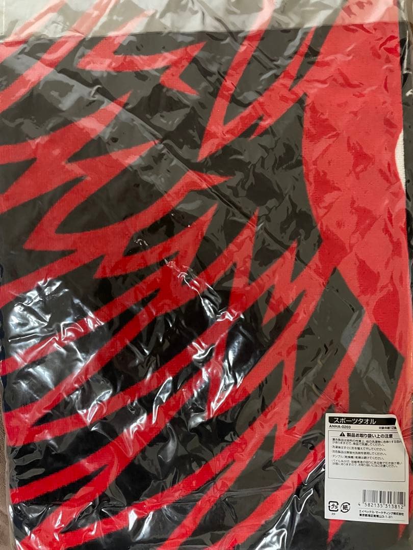 ayumi hamasaki ASIA TOUR 2008 10th、浜崎あゆみ