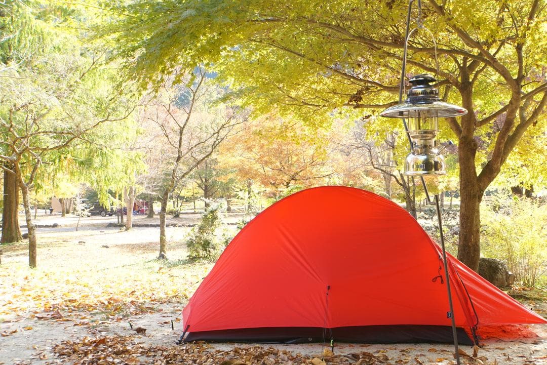 The Free Spirits（自由之魂）のPangolin 2.0