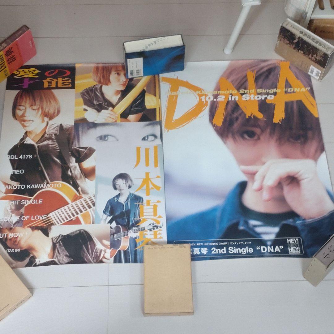 川本真琴　ポスター　１３枚セット