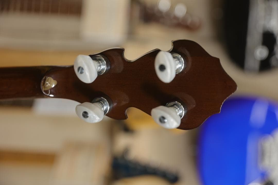 【8988】 Tokai Goldstar？バンジョー humming bird