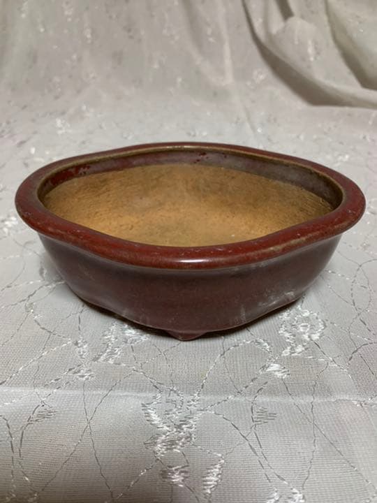 服部　盆栽鉢　赤茶