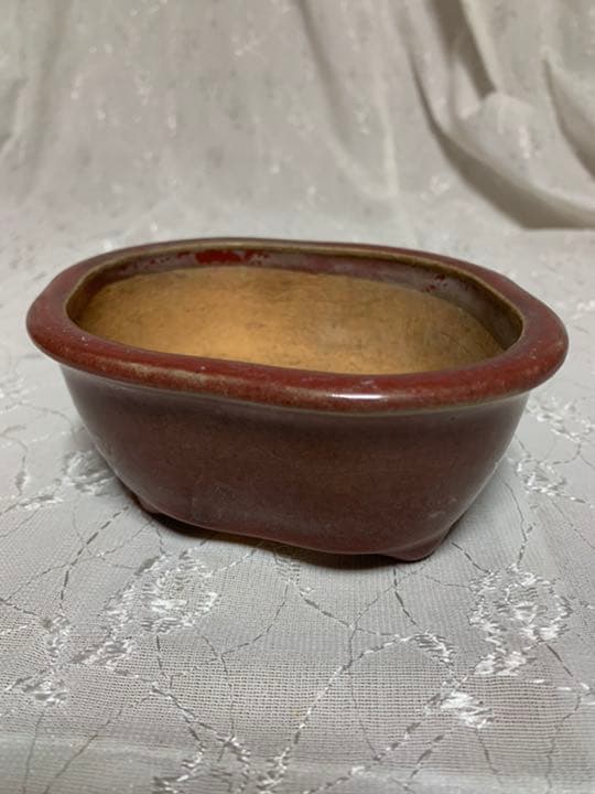 服部　盆栽鉢　赤茶