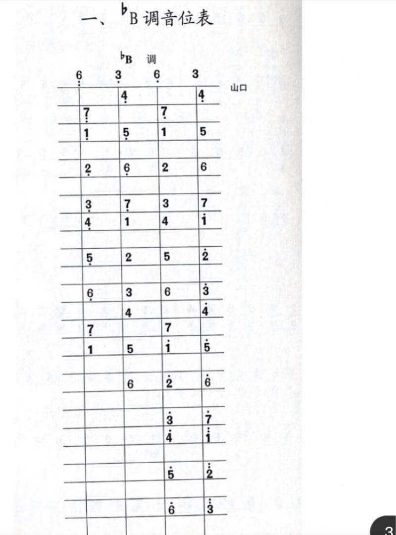 中国の民族楽器中阮 中元