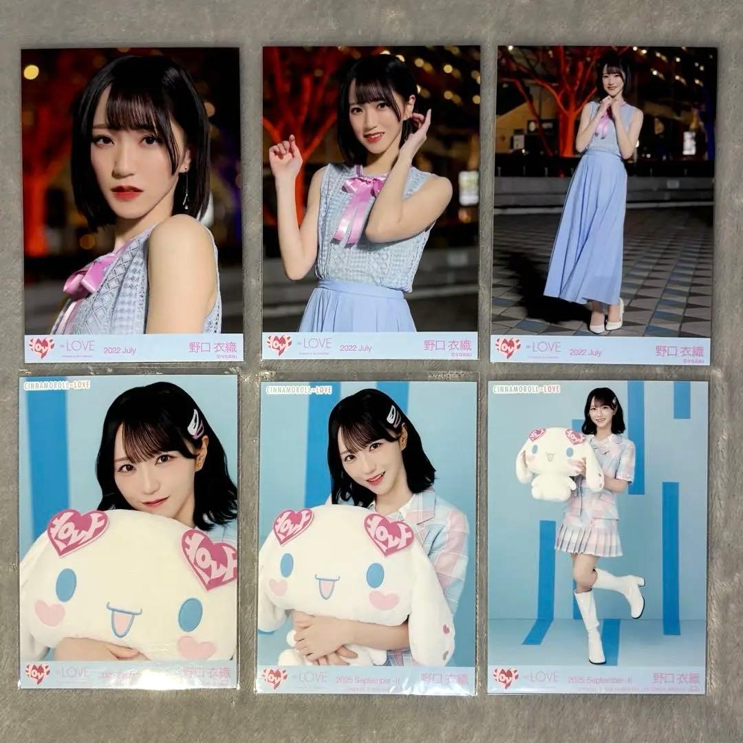 イコラブ 野口衣織 生写真 コンプ 猫 7周年 猫衣装 周年 笑顔のレシピ