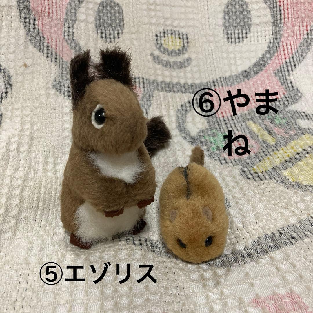 やまね工房　ぬいぐるみ　落合けいこ　6こセット　中古品　コノハズク他　おまけ付き