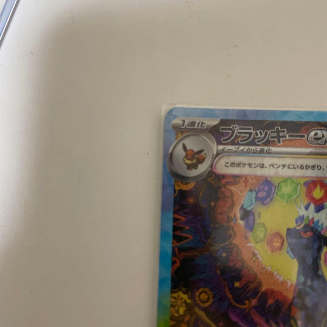 ブラッキーSAR su8a 217/187 おまけ付き