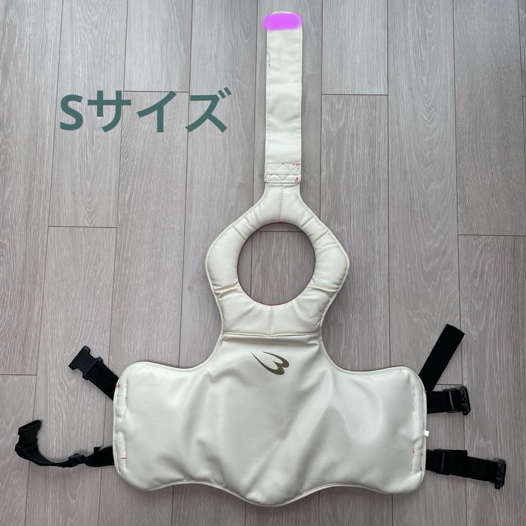 キックボクシング　防具セット　パンチングミット ボディプロテクター　S ミット