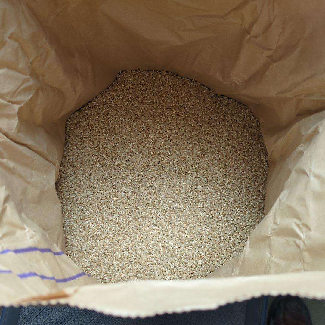 茨城県産コシヒカリ 玄米25kg