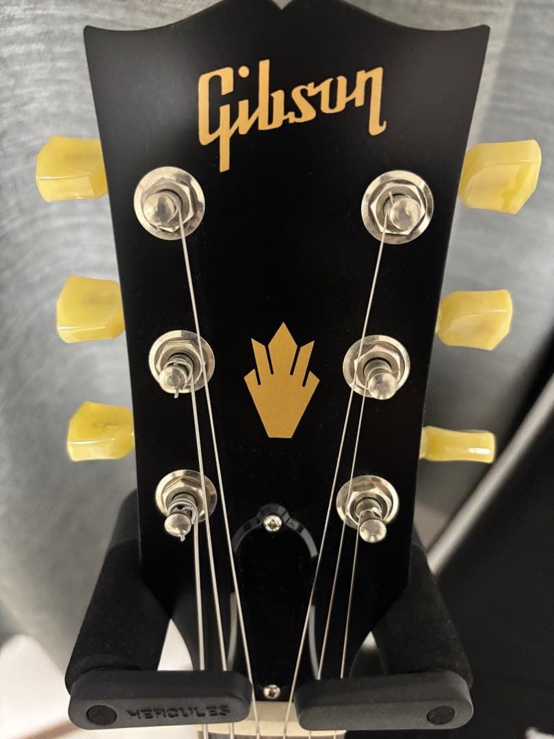 ギター Gibson SG Fade Tribute