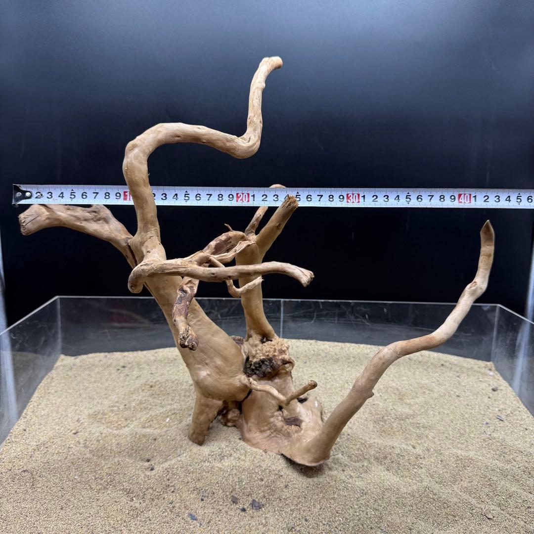 MDW-7164 ブランチウッド2本セット　流木　枝流木　アクアリウム