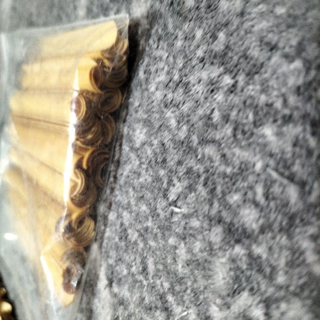 オーボエ　約110枚　竹冊