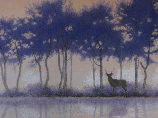 小谷野直己、【花影】、希少な額装用画集より、新品額装付、状態良好