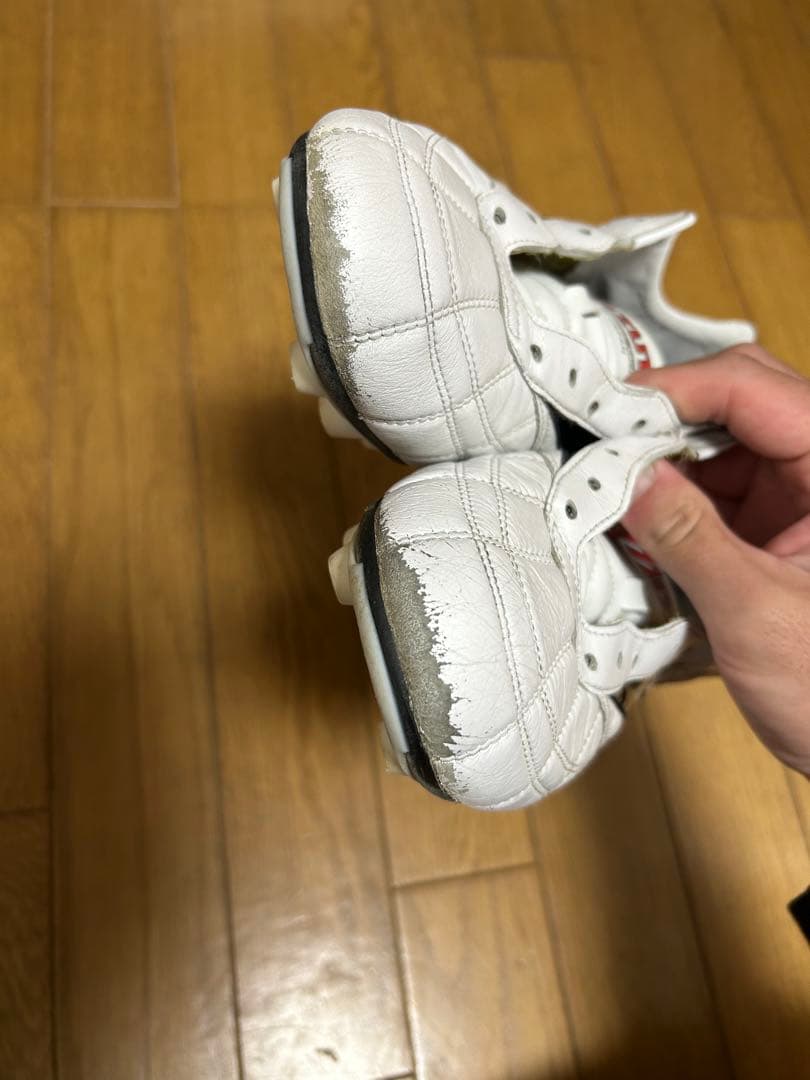 Mizuno Morelia モレリア　クロスステッチ