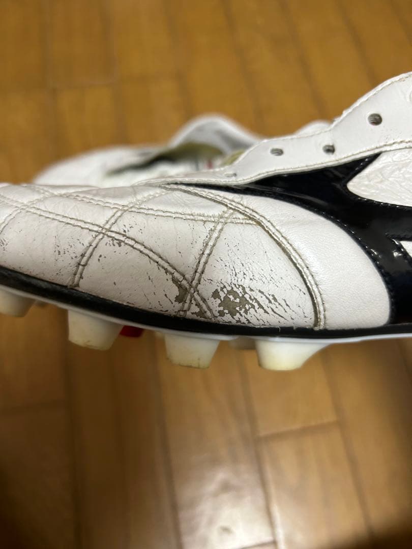 Mizuno Morelia モレリア　クロスステッチ