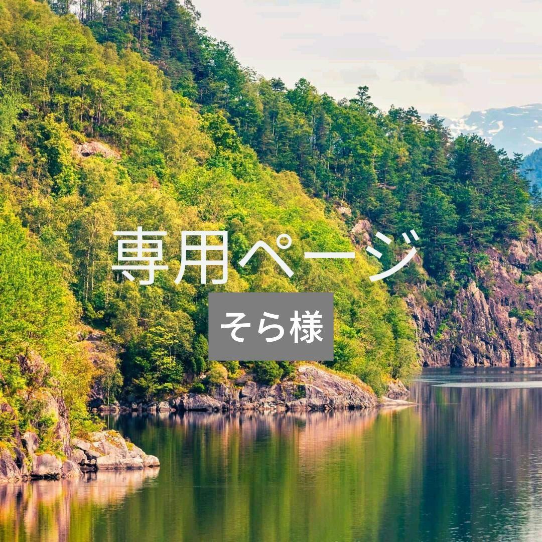 専用ページ　そら様