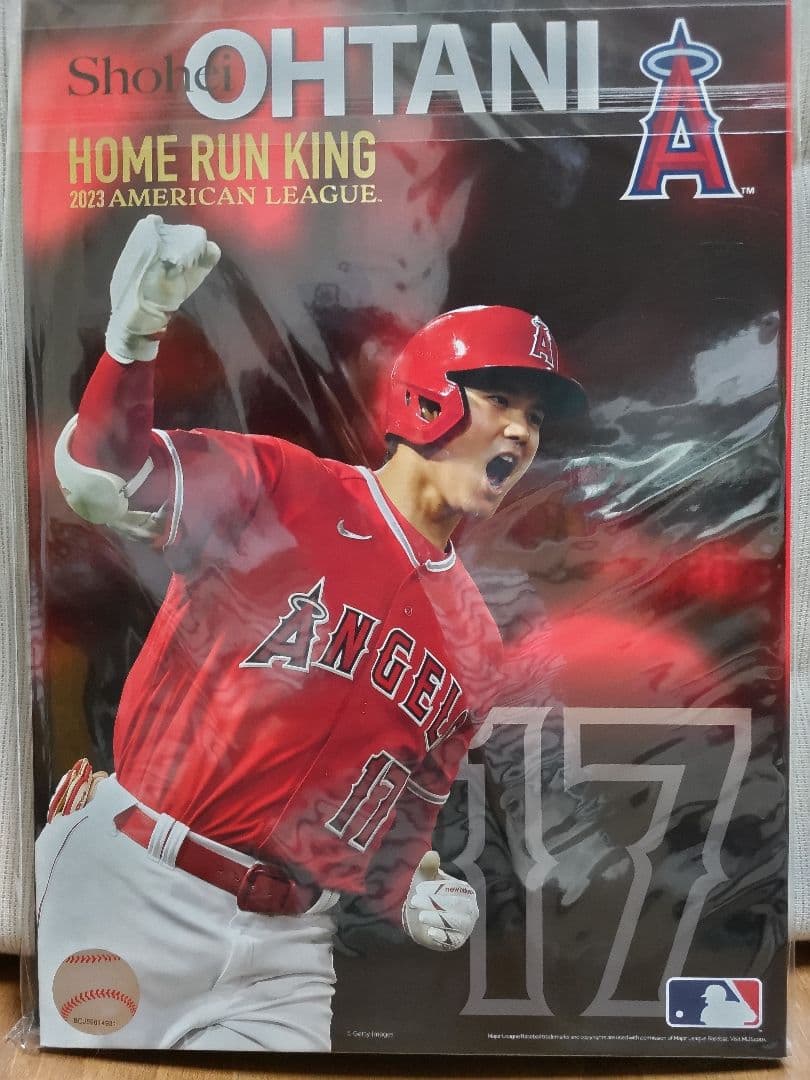 大谷翔平プレミアムフーレーム