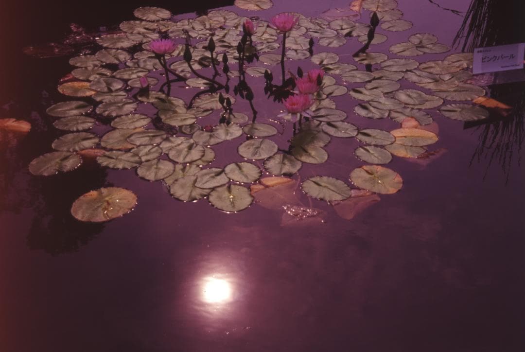 “”アナログ“”　自然風景写真（フレーム付き）　　　　フィルム撮影・銀塩プリント