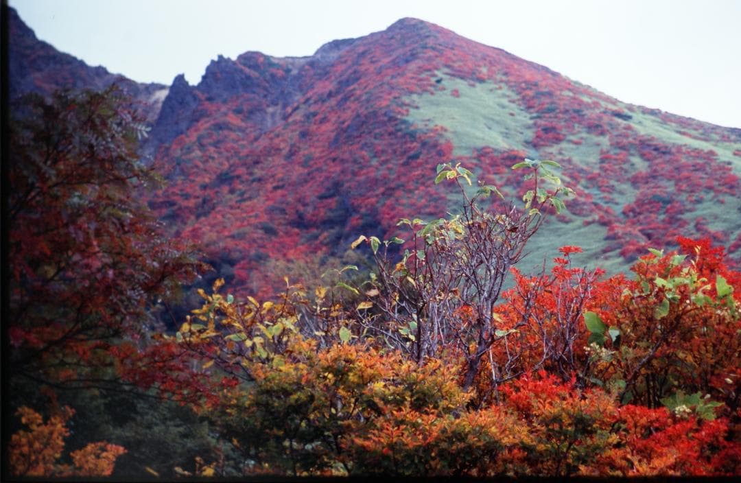 “”アナログ“”　自然風景写真（フレーム付き）　　　　フィルム撮影・銀塩プリント