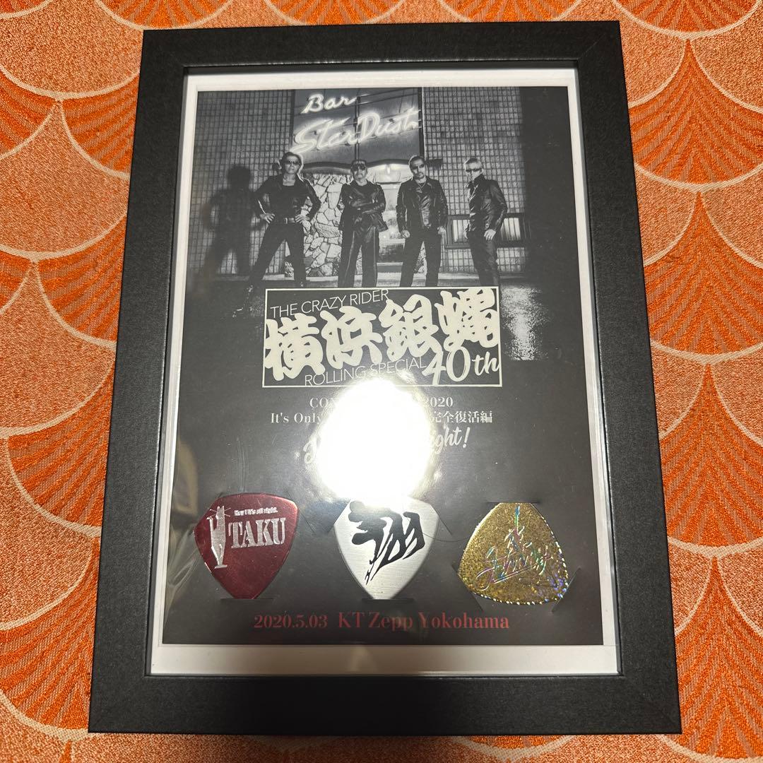 横浜銀蝿　ピックセット　8点　額装付き　おまとめ　おまけ付き