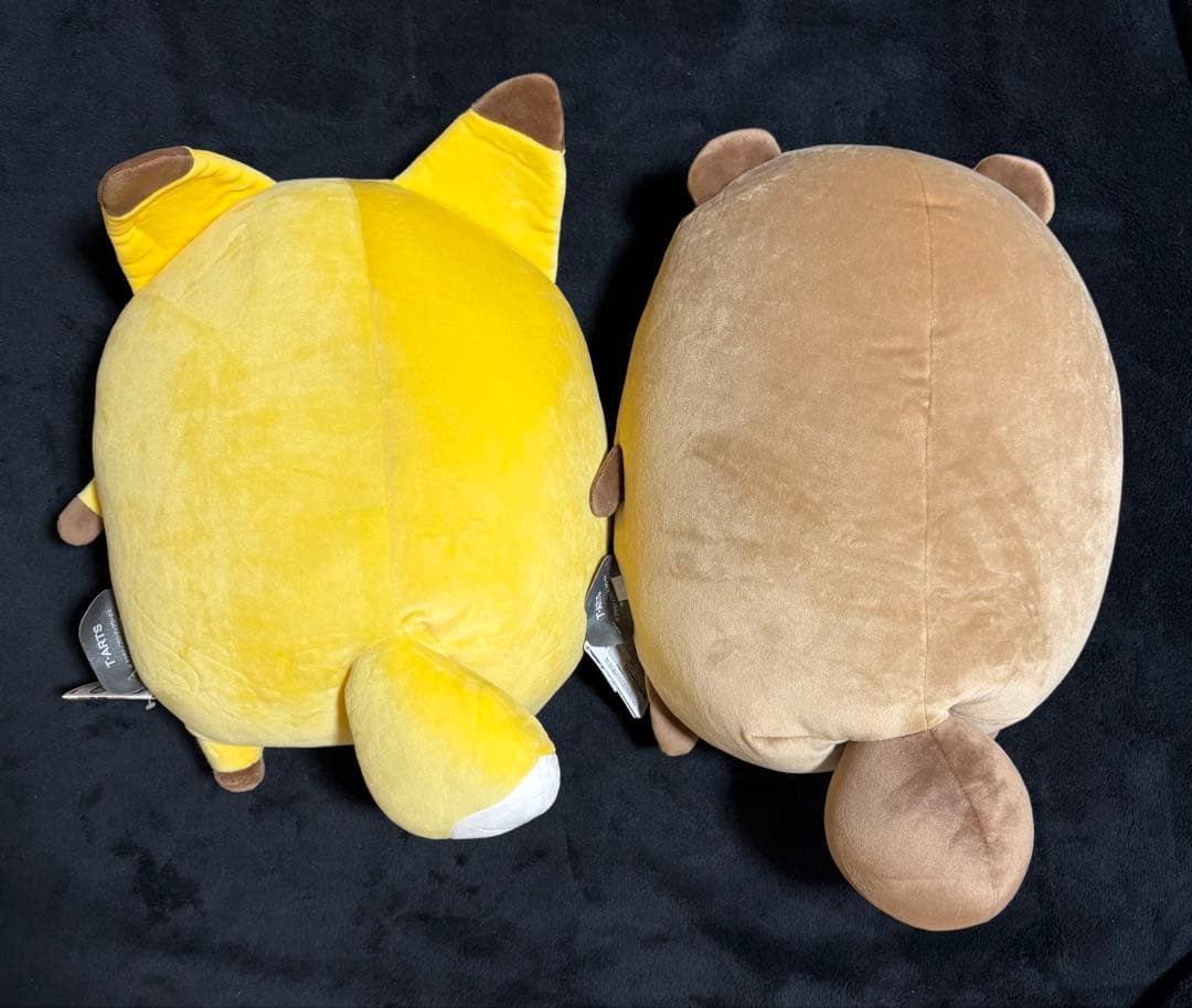 タヌキとキツネ　Mocchi-Mocchi- もっちぃもっちぃM