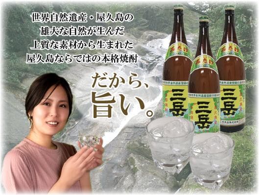 三岳 本格焼酎 900ml×6本