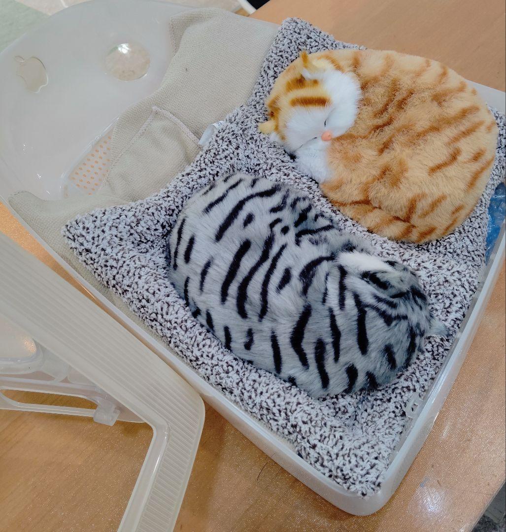 初代　iMac　を猫ハウスにリメイク