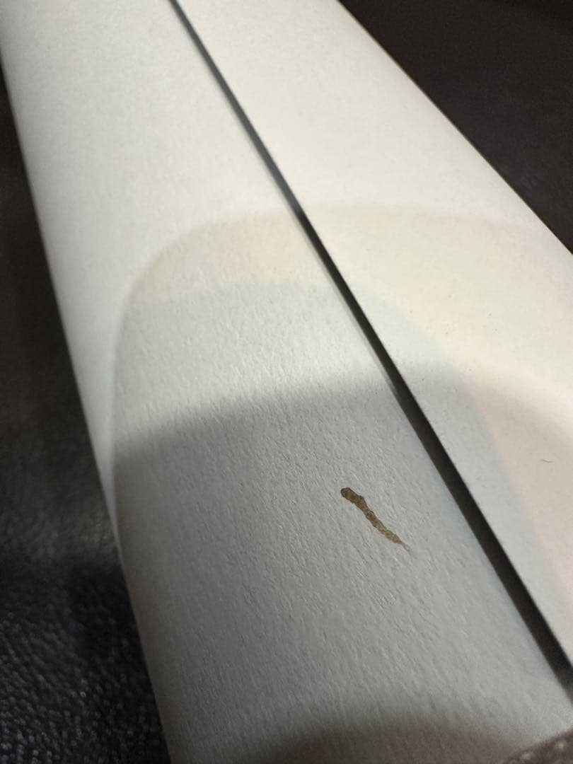 A1 ポスター JOJO DIO ザ・ワールド 世界