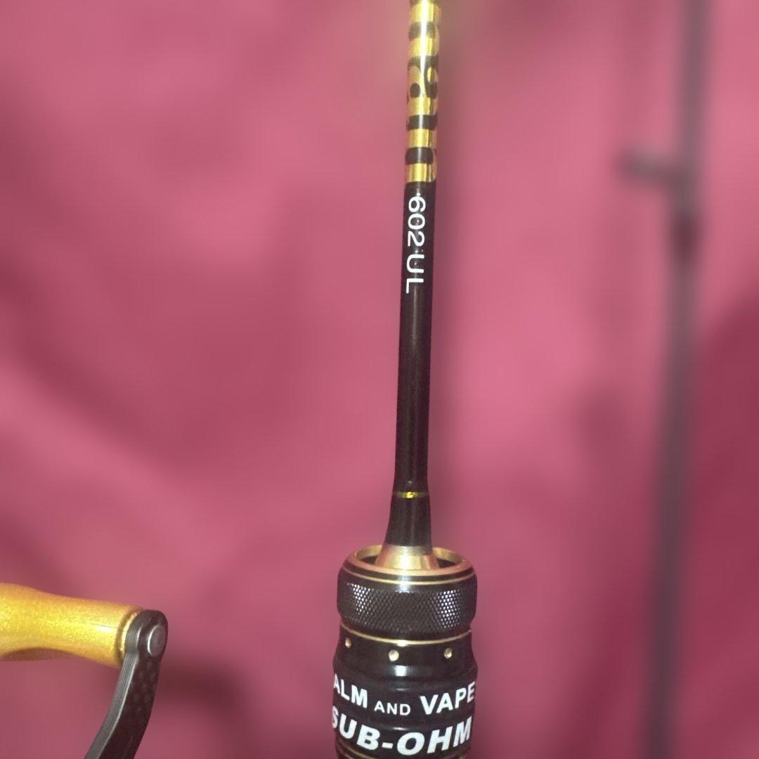 最終価格‼️TEBEN LiteSpin DC左、c602ULロッドセット