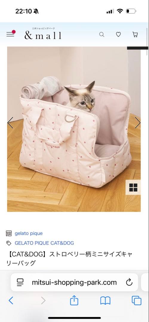 GELATO PIQUE ストロベリープリント キャリーバッグ