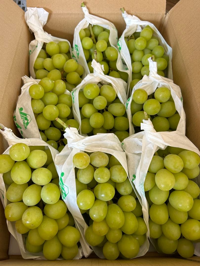 山梨県産　ぶどう　シャインマスカット 正味5キロ　家庭用 そろそろ終わり