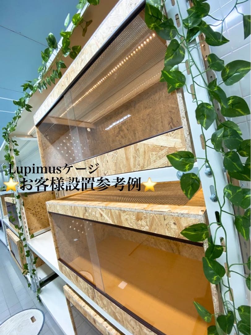 かずぼんページ