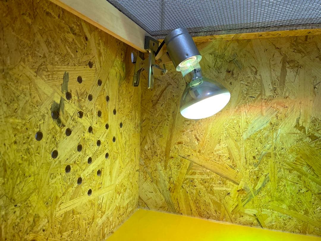 かずぼんページ