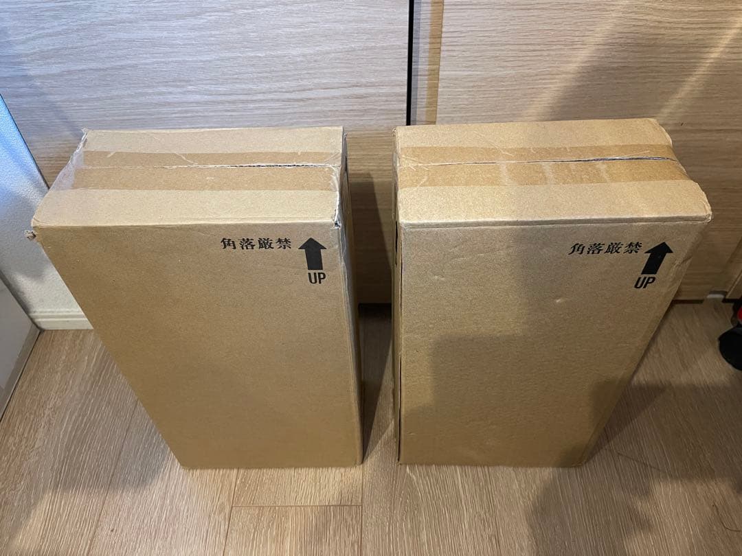 メディコムトイ RAH ライオン丸G タイガージョー 特装版 フィギュア2体のみ