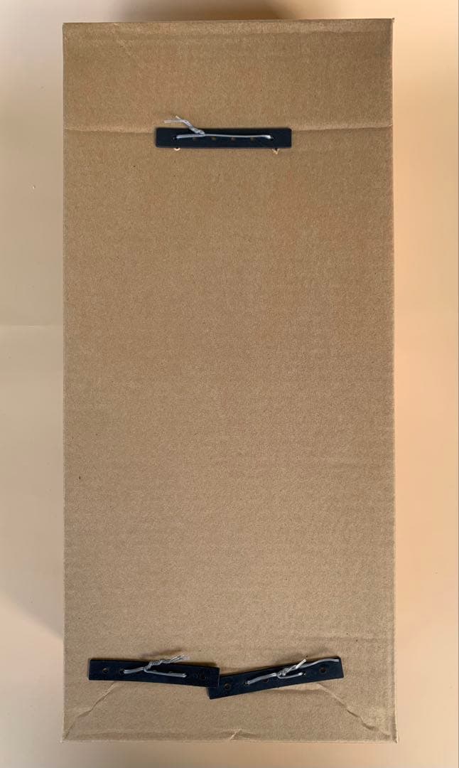 東映ヒーローネット/限定品　RAH450　【第15期会員特典】仮面ライダーアギト