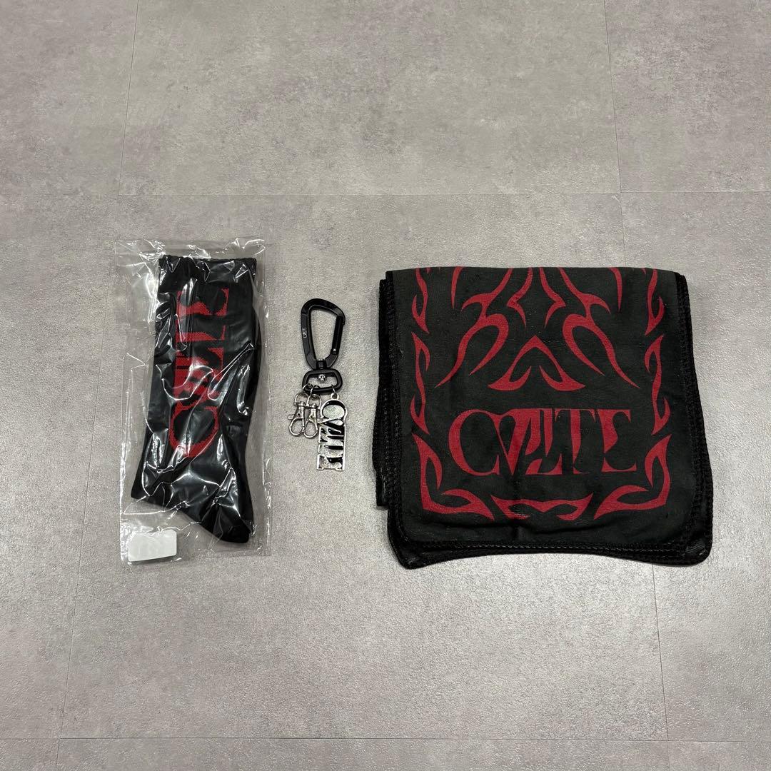 CVLTE カルト グッズ まとめ売り 未使用新品・廃盤グッズ多数