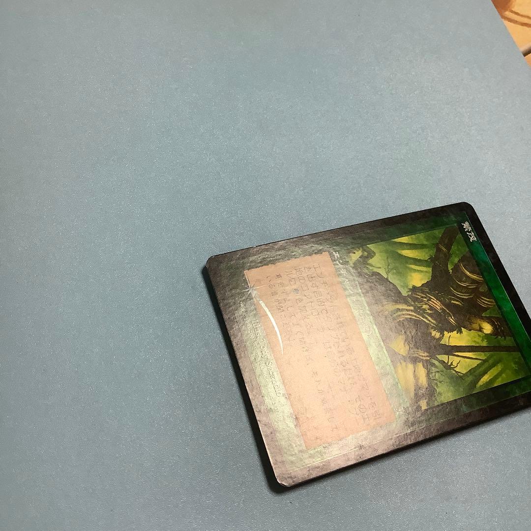 繁茂/Wild Growth  7ED日本語foil