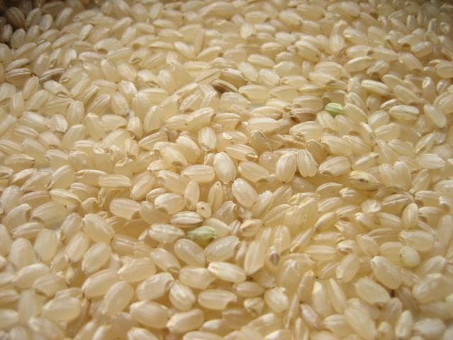 関東　一都六県　送料無料　令和７年　冷蔵保存　新米　玄米　20kg　つきあかり