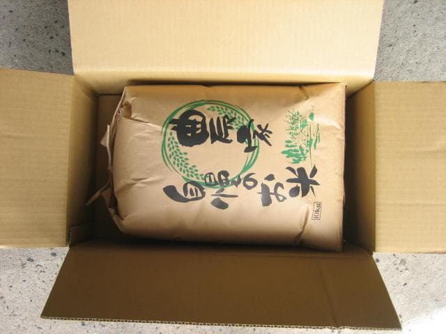 関東　一都六県　送料無料　令和７年　冷蔵保存　新米　玄米　20kg　つきあかり