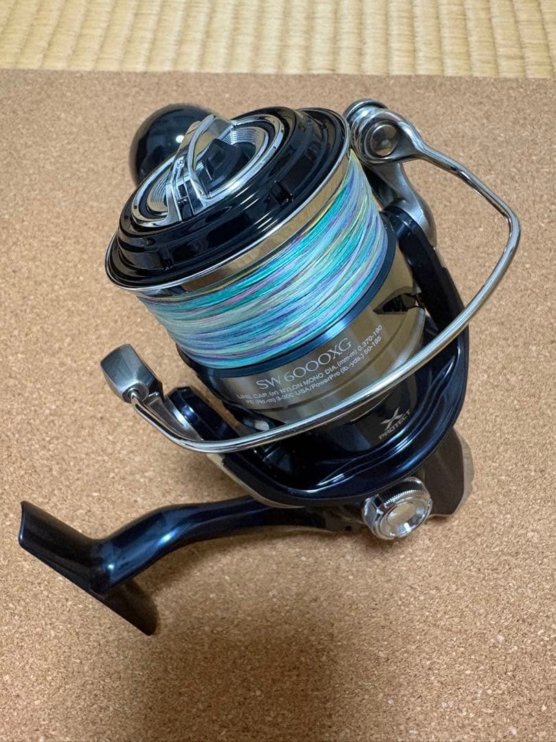 リール SHIMANO TWIN POWER SW6000XG
